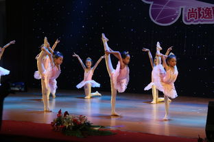 專業(yè)攝影攝像服務，定格新會最美瞬間