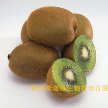 寶雞市特產(chǎn)銷售行業(yè)協(xié)會(huì) 領(lǐng)航獼猴桃產(chǎn)業(yè)，打造“金果”新名片